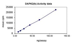 Eurofins DiscoverX DAPK2 Protein, Active 10 &mu;g | Buy Online | Eurofins DiscoverX | Fisher Scientific